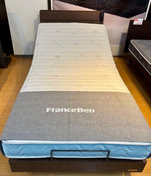 France Bed（フランスベッド）　電動リクライニングベッド【NIMUS藤枝店】イメージ画像